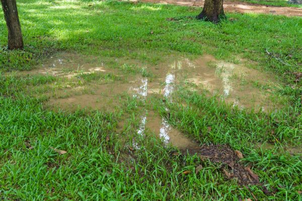 Cost of Storm Water Drainage Service in Saint Peters
