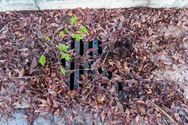 Cost of Yard Drain Unclogging in Saint Peters