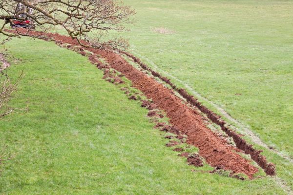 Cost of Swale Installation in Saint Peters