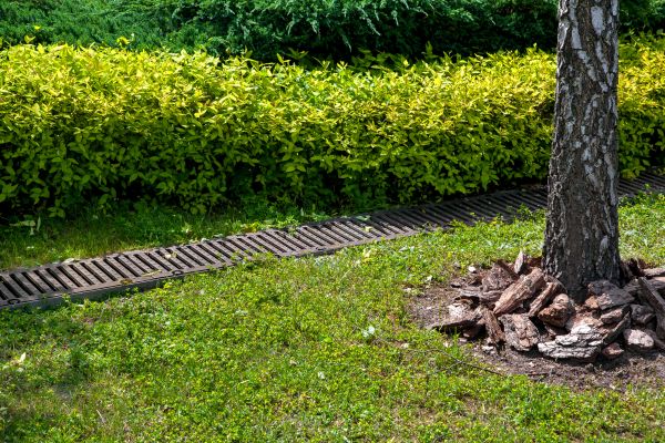 Cost of Residential Landscape Drainage in Saint Peters