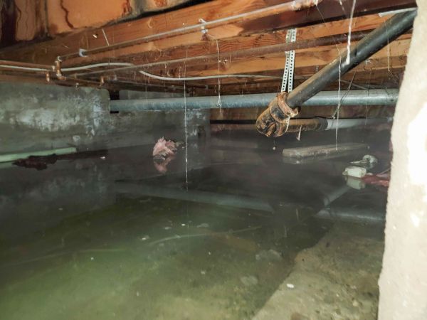 Cost of Crawlspace Drainage in Saint Peters