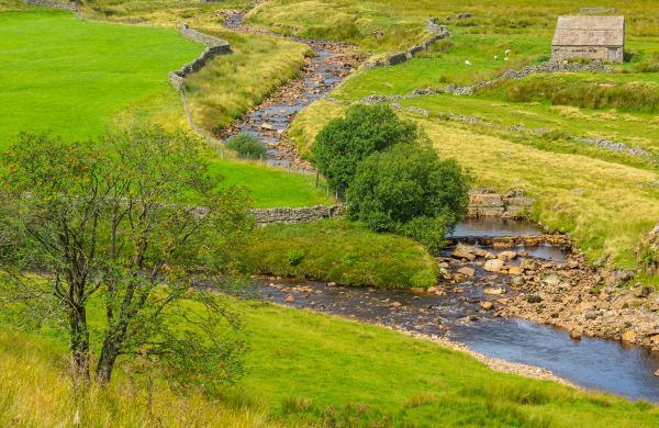 Cost of Swale Repair in Saint Peters